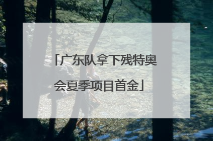 广东队拿下残特奥会夏季项目首金