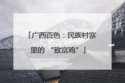 广西百色：民族村寨里的 “致富鸡”