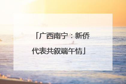 广西南宁：新侨代表共叙端午情