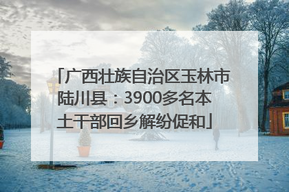 广西壮族自治区玉林市陆川县：3900多名本土干部回乡解纷促和
