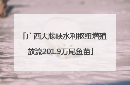 广西大藤峡水利枢纽增殖放流201.9万尾鱼苗