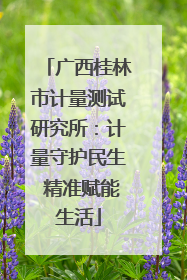 广西桂林市计量测试研究所：计量守护民生 精准赋能生活