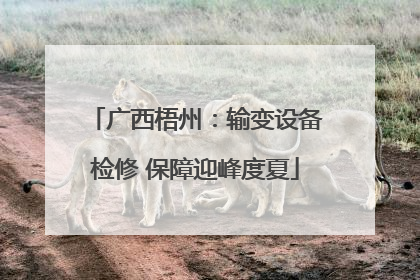 广西梧州：输变设备检修 保障迎峰度夏