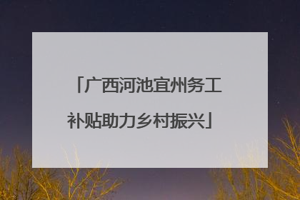 广西河池宜州务工补贴助力乡村振兴