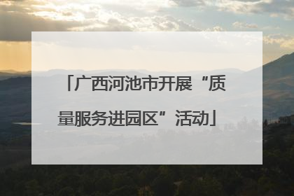 广西河池市开展“质量服务进园区”活动