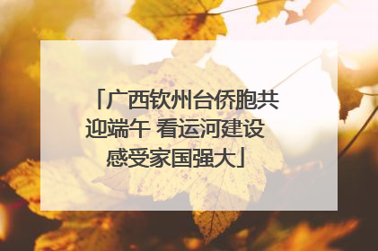 广西钦州台侨胞共迎端午 看运河建设感受家国强大
