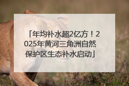 年均补水超2亿方！2025年黄河三角洲自然保护区生态补水启动