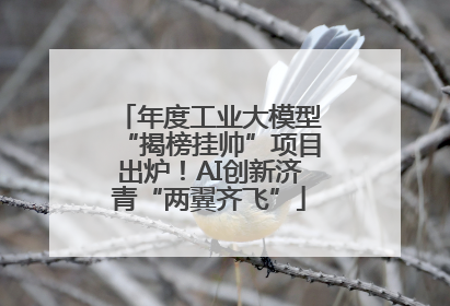 年度工业大模型“揭榜挂帅”项目出炉！AI创新济青“两翼齐飞”
