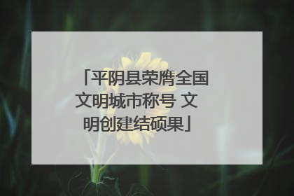 平阴县荣膺全国文明城市称号 文明创建结硕果