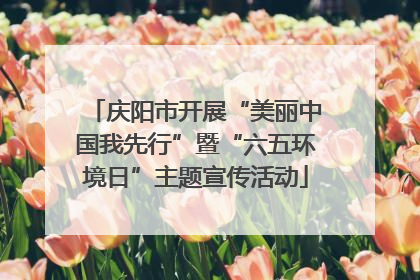 庆阳市开展“美丽中国我先行”暨“六五环境日”主题宣传活动