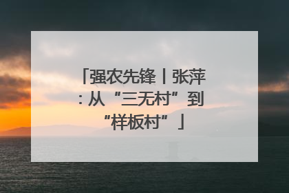 强农先锋丨张萍：从“三无村”到“样板村”