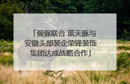 强强联合 蓝天豚与安徽头部装企荣锋装饰集团达成战略合作