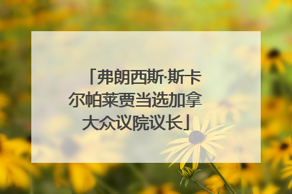 弗朗西斯·斯卡尔帕莱贾当选加拿大众议院议长