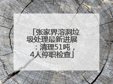 张家界溶洞垃圾处理最新进展：清理51吨，4人停职检查