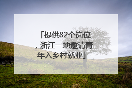 提供82个岗位，浙江一地邀请青年入乡村就业