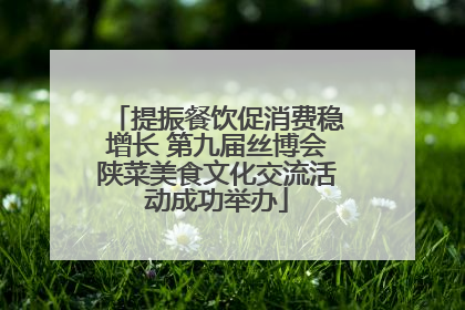 提振餐饮促消费稳增长 第九届丝博会陕菜美食文化交流活动成功举办