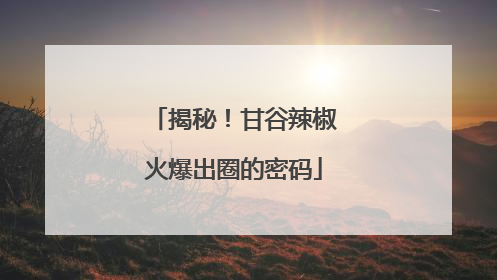 揭秘！甘谷辣椒火爆出圈的密码