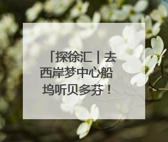 探徐汇｜去西岸梦中心船坞听贝多芬！2025上海夏季音乐节公布节目阵容