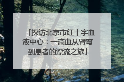 探访北京市红十字血液中心：一滴血从臂弯到患者的漂流之旅