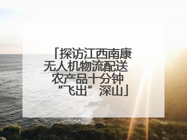 探访江西南康无人机物流配送 农产品十分钟“飞出”深山