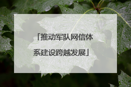 推动军队网信体系建设跨越发展