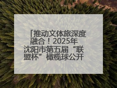 推动文体旅深度融合！2025年沈阳市第五届“联盟杯”橄榄球公开赛燃情开赛