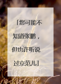 您可能不知道张鹏，但也许听说过京范儿