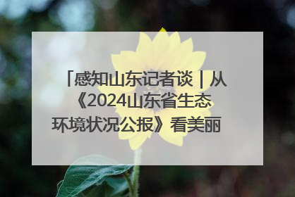 感知山东记者谈｜从《2024山东省生态环境状况公报》看美丽山东建设的“成绩单”与“任务书”