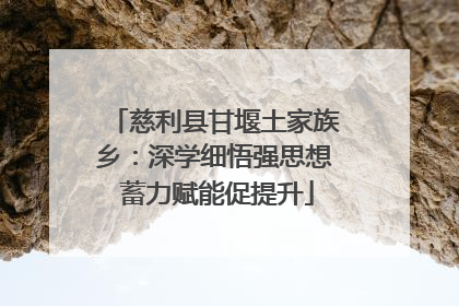 慈利县甘堰土家族乡：深学细悟强思想 蓄力赋能促提升