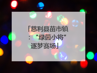 慈利县苗市镇：“绿茵小将”逐梦赛场