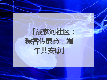 戴家河社区：粽香传廉意，端午共安康
