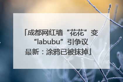 成都网红墙“花花”变“labubu”引争议 最新：涂鸦已被抹掉