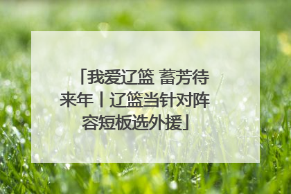 我爱辽篮 蓄芳待来年丨辽篮当针对阵容短板选外援