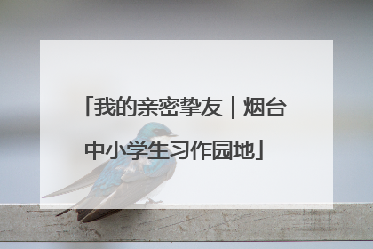我的亲密挚友｜烟台中小学生习作园地