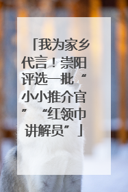 我为家乡代言！崇阳评选一批“小小推介官”“红领巾讲解员”