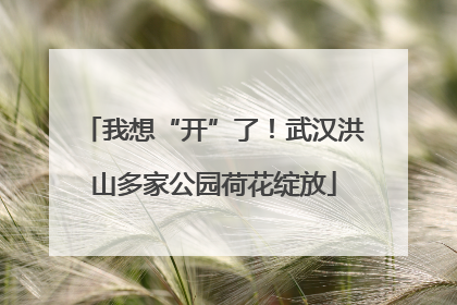 我想“开”了！武汉洪山多家公园荷花绽放