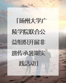 扬州大学广陵学院联合公益组织开展非遗传承暑期实践活动
