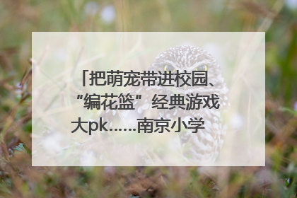 把萌宠带进校园、“编花篮”经典游戏大pk……南京小学花式“庆六一”