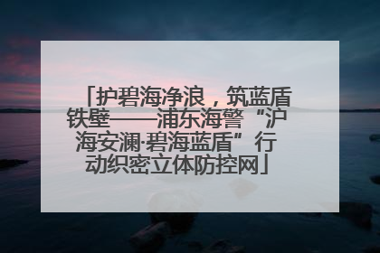 护碧海净浪，筑蓝盾铁壁——浦东海警“沪海安澜·碧海蓝盾”行动织密立体防控网