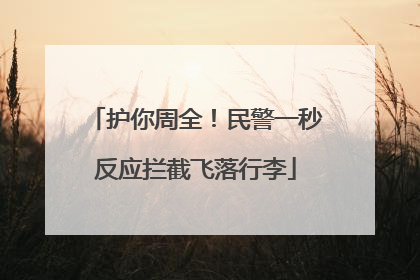 护你周全！民警一秒反应拦截飞落行李