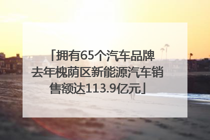 拥有65个汽车品牌 去年槐荫区新能源汽车销售额达113.9亿元