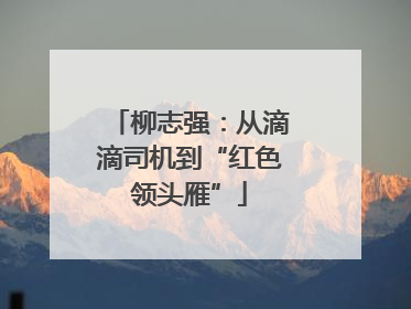 柳志强：从滴滴司机到“红色领头雁”