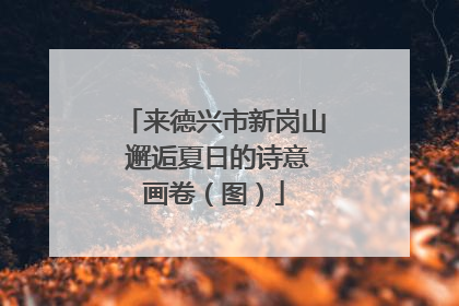 来德兴市新岗山 邂逅夏日的诗意画卷（图）