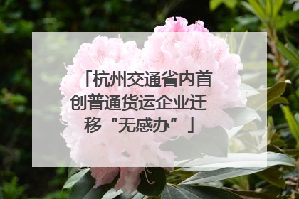 杭州交通省内首创普通货运企业迁移“无感办”