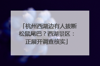 杭州西湖边有人拔断松鼠尾巴？西湖景区：正展开调查核实