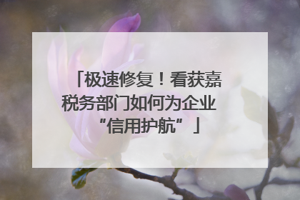 极速修复！看获嘉税务部门如何为企业“信用护航”