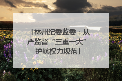 林州纪委监委：从严监督“三重一大” 护航权力规范