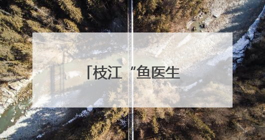 枝江“鱼医生”，点赞！
