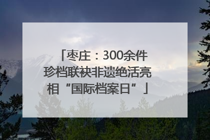 枣庄:300余件珍档联袂非遗绝活亮相“国际档案日”