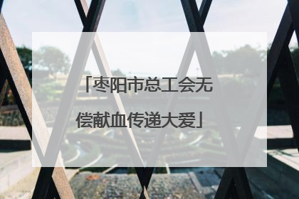 枣阳市总工会无偿献血传递大爱